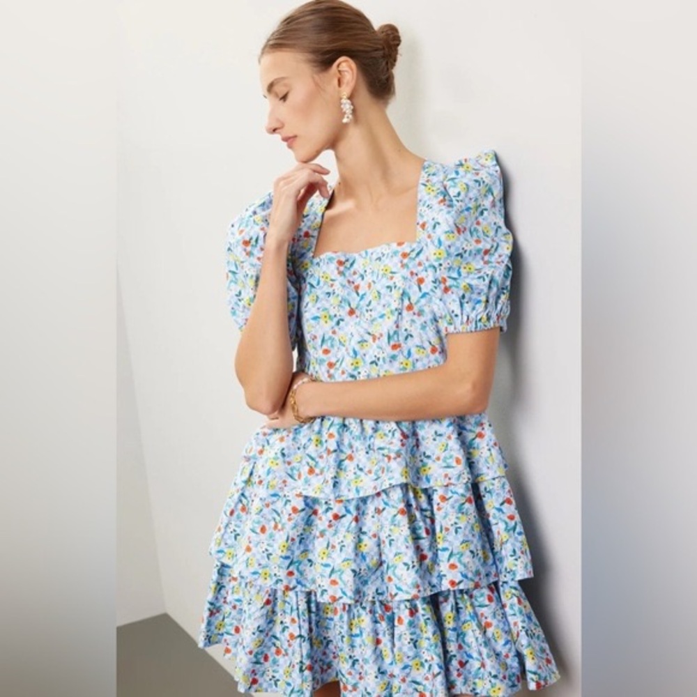 Hunter Bell Wildflower Melody Blue Porter Dress - size 12